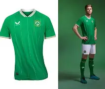 爱尔兰足球队阵容