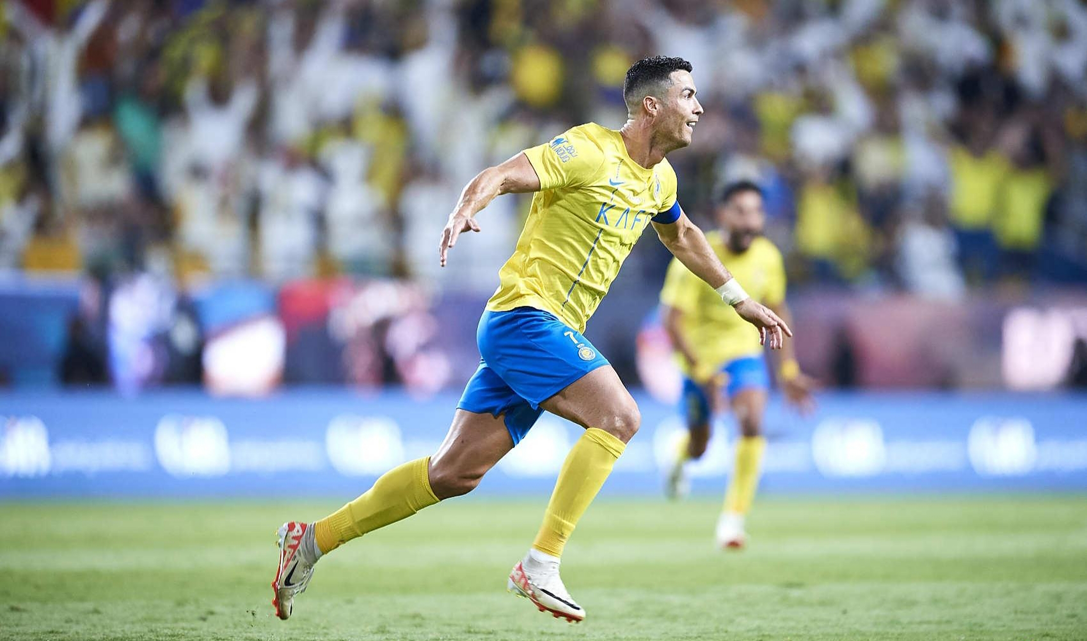 APP下载-沙沃斯拳击